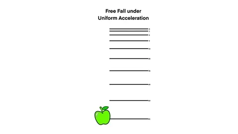 Earth's gravity, free fall of an apple under constant acceleration Stock Footage 314509049