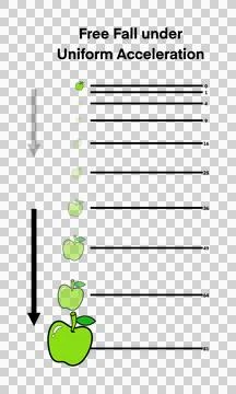 Earth's gravity, free fall of an apple under constant acceleration イラスト素材