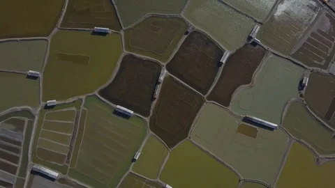 Earth's line. drone vertical perspective of ground's colors, shapes. Salt mine Video stock 97058135