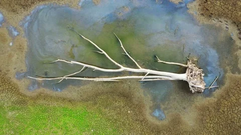 Earth's surface and cracks Pattern Background Desert surface Hot muddy ground  Stock Footage 131627038