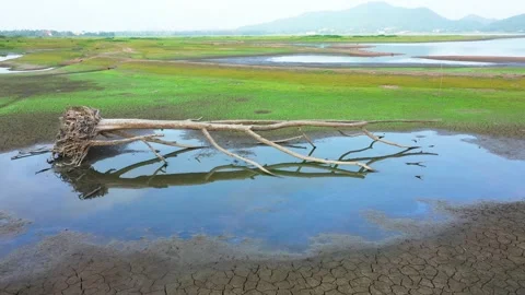 Earth's surface and cracks Pattern Background Desert surface Hot muddy ground  Stock Footage 131627069