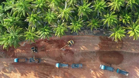 Earthworks and forest Video stock 129477503