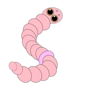 Earthworm on white background Stock Illustration