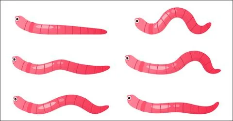 Earthworms crawl set, sequence game animation, stages of walking funny pink worm Illustration