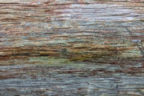 Earthy Brown Rust Macro Striations Texture Background Natural Organic Horiz.. Stock Photos
