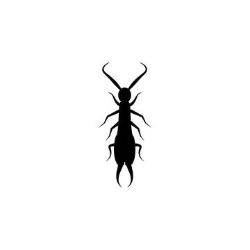 Earwig icon. Elements of world of insects icon for concept and web apps 스톡 일러스트