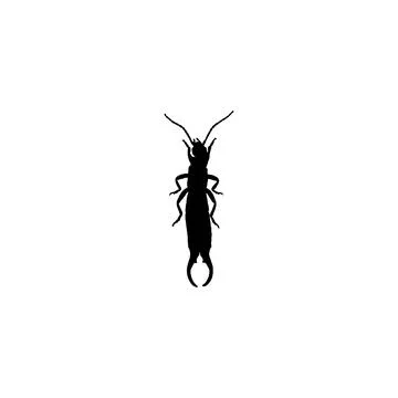 Earwig icon. Simple style insect spraying company poster background symbol... Stock Illustration