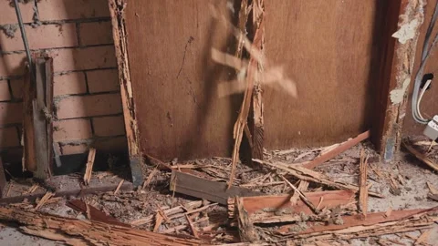 Easily ripping out a timber wall by hand that has been damaged by termites and Stock Footage 333285080