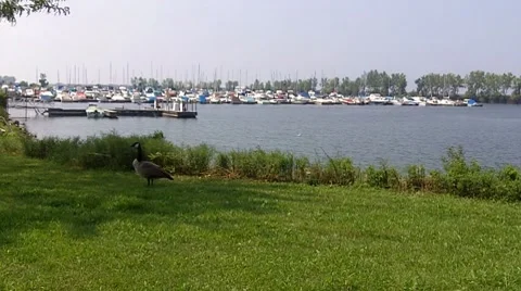 East 55th Marina in Cleveland, Ohio Stock Footage