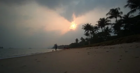 East Coast Beach Sunset Stock-Footage 254190815