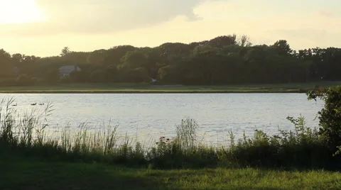 East Hampton Scenics Stock Footage 49833048