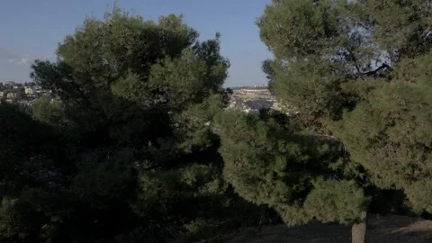 East jerusalem 01 Stock Footage 123151325