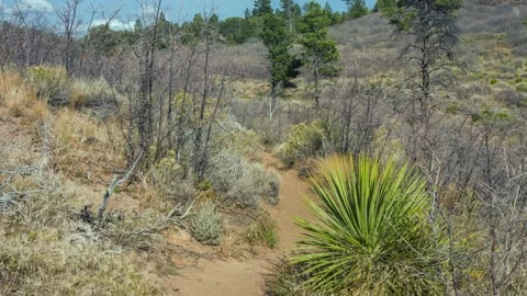 East Mesa Trail to Observation Point in Zion National Park, Utah Stock Footage 332026221