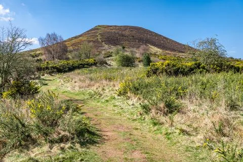 East Side footpath up Eildon Hill North, Scottish Borders, UK Stock Photos