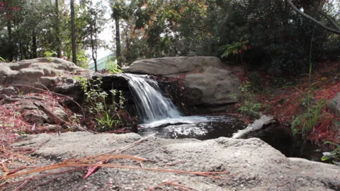 East Texas Cascade Stock Footage 138781098