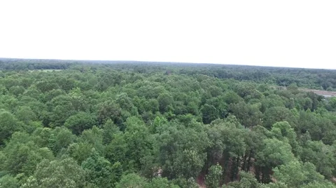 East Texas Lake Pull Back Stock Footage 66549010