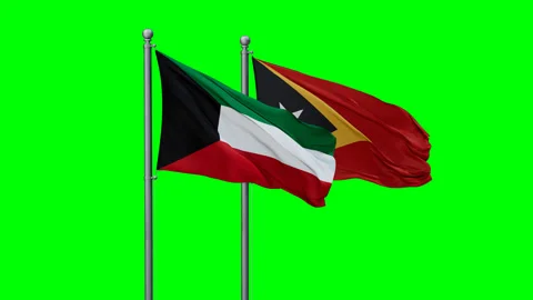 East Timor and Kuwait flags Stock Footage 291184936