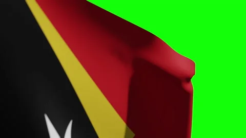 East Timor Flag Close Видео 134501294
