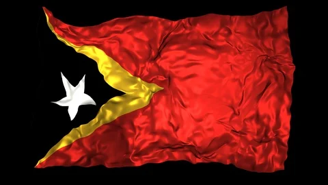 East Timor flag Stock Footage 110800378