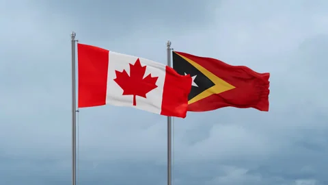 East Timor flag Video stock 252027900