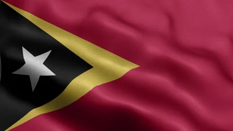 East Timor flag Front Stock Footage 318664486