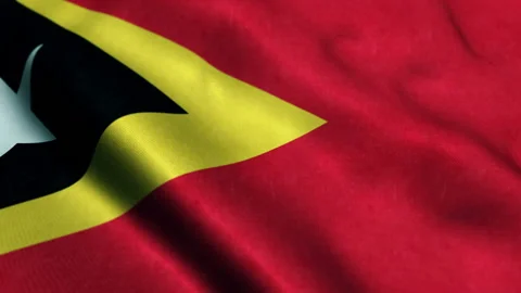 East Timor Flag - Seamless Looping Video stock 219003985