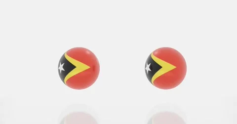 East Timor flag symbol 库存影片 195283440