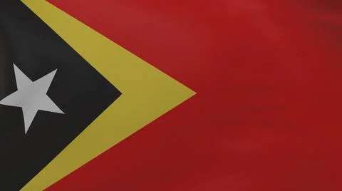 East Timor flag texture Stock Illustration
