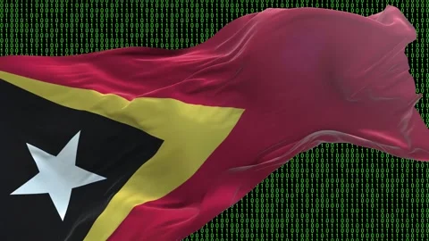 East Timor flag - Waving flag on matrix binary code background Stock Footage 321421096