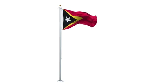 East Timor flag waving looping with transparent background. Video stock 312869053
