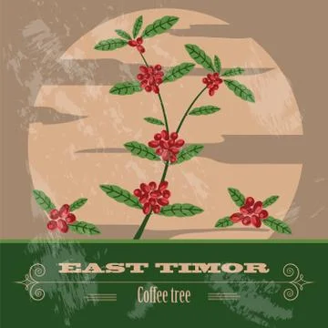 East Timor  infographics, statistical data, sights Stock Illustration