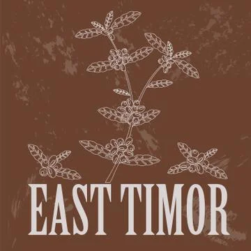 East Timor  infographics, statistical data, sights Illustrazione stock
