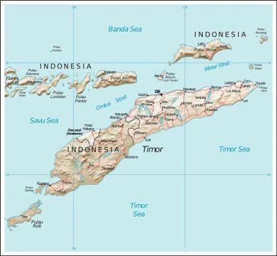 East Timor physiography map Stock Illustration