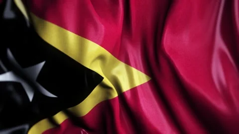 East Timor WAVING FLAG Stock Footage 323938524