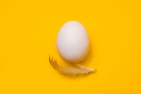 Easter advert. one white egg and feather in center of yellow background Stock Photos