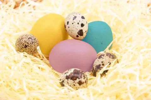 Easter and its eggs colored and painted in the straw Stock Photos