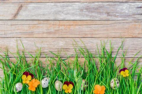 Easter and spring background with green grass, flowers and eggs on wood Stock Photos