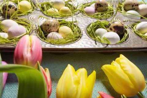 Easter and spring background with tulips and eggs. Stock Photos