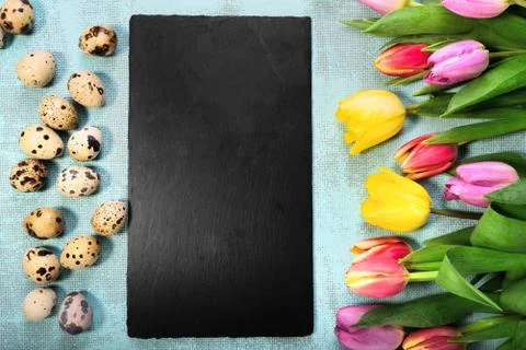 Easter and spring background with tulips and eggs. Stock Photos