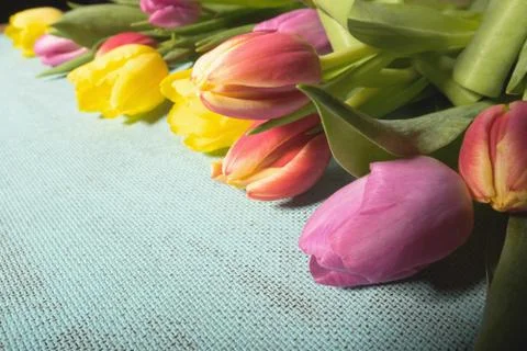 Easter and spring background with tulips and eggs. Stock Photos