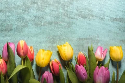 Easter and spring background with tulips and eggs. Stock Photos