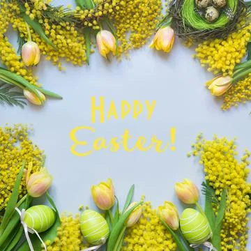 Easter and spring border of yellow tulips, mimosa on blue. Foto stock