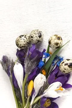Easter and spring concept/bouquet of different snowdrops flowers and quail .. Stock Photos