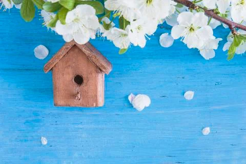 Easter and spring holidays concept. One little birdhouse and pear blossom twi Stock Photos