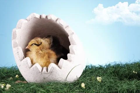 Easter animals Stock Photos