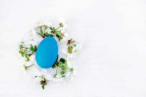 Easter background and branches of spring flowering cherries on white wooden Stock Photos