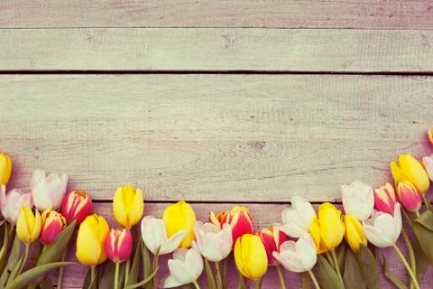 Easter background and copy space Stock-Fotos