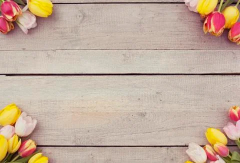 Easter background and copy space Stock Photos