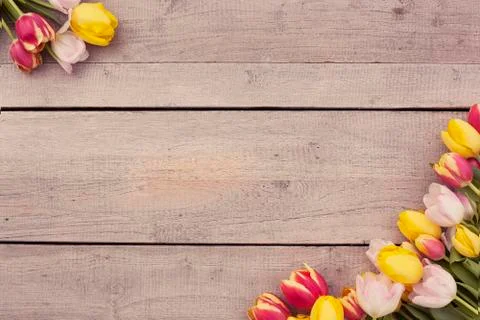 Easter background and copy space Stock Photos