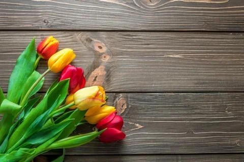 Easter background with beautiful tulips Stock Photos